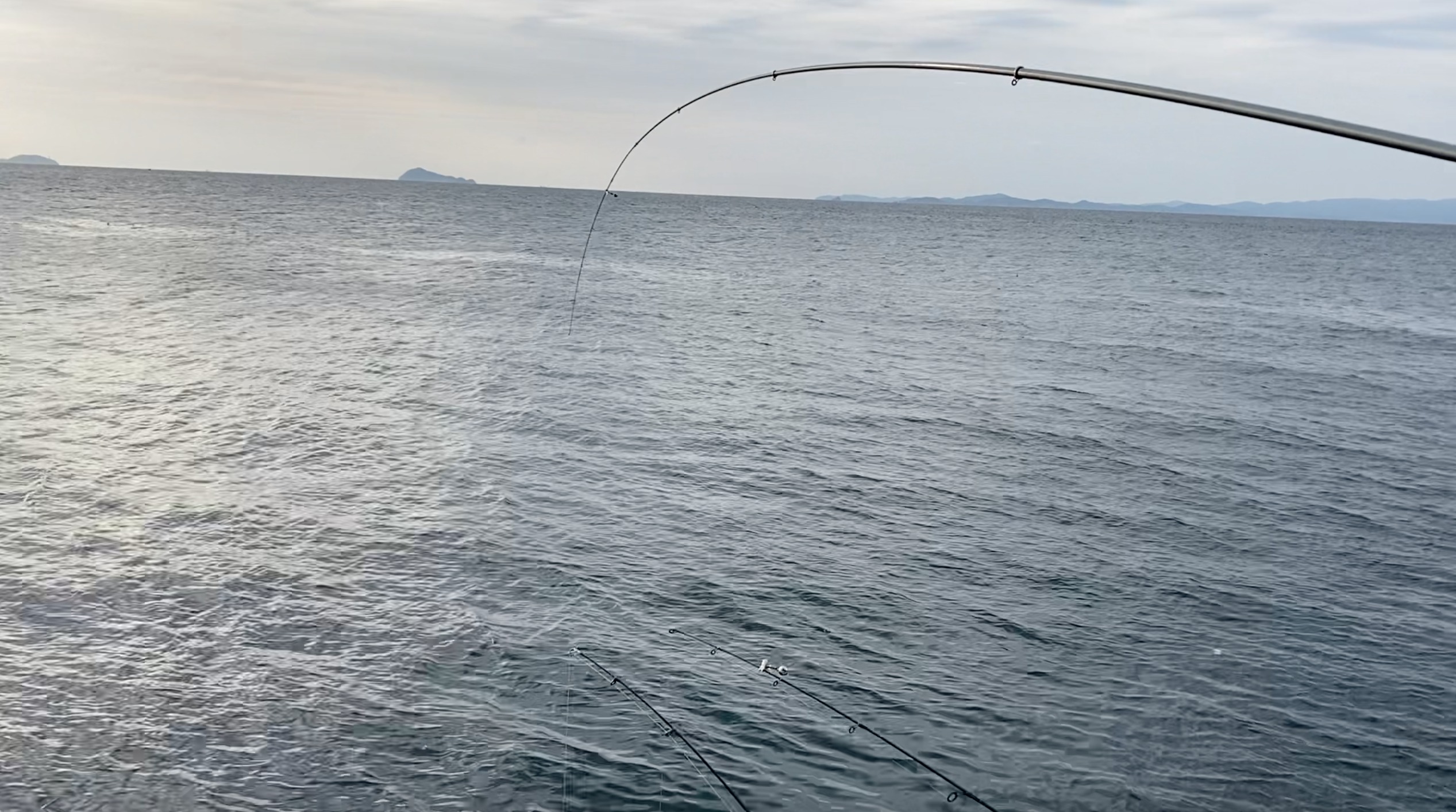 海タナゴとメバルを狙い打つ 爆釣させる方法とは 公式 愛知釣り情報
