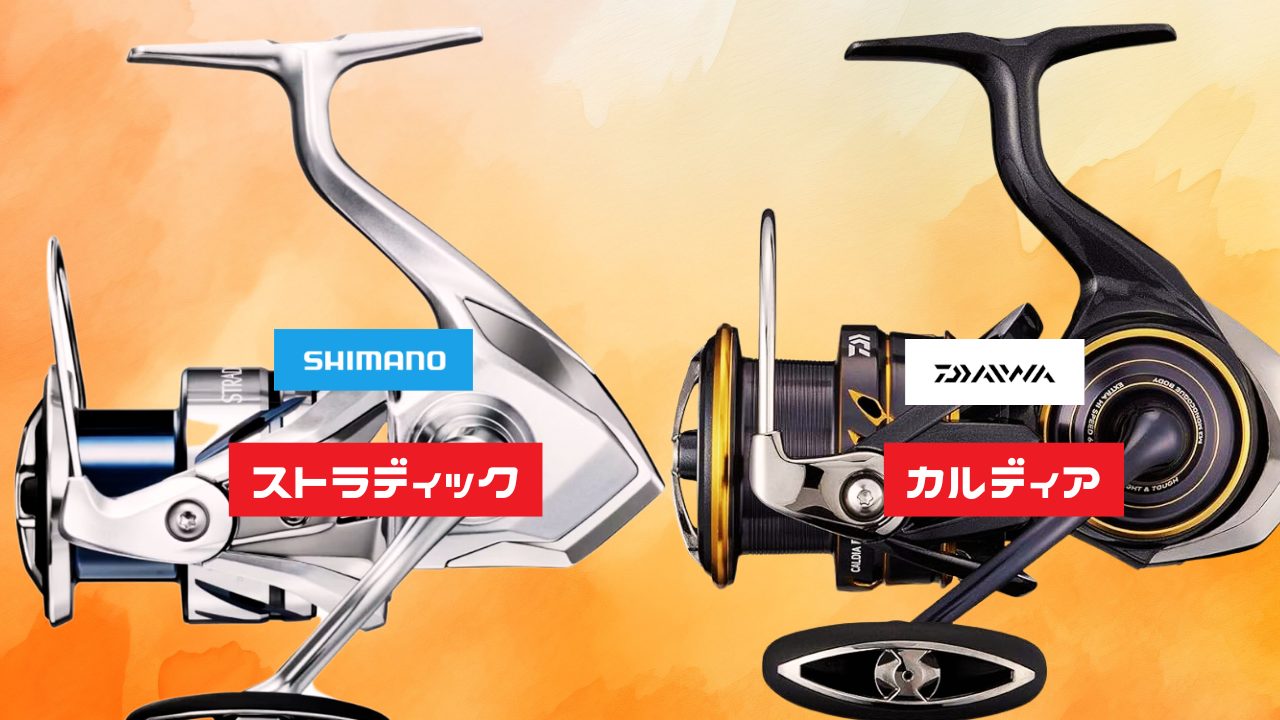 ストラディックとカルディアどっちが最適？迷う方必見の徹底比較ガイド