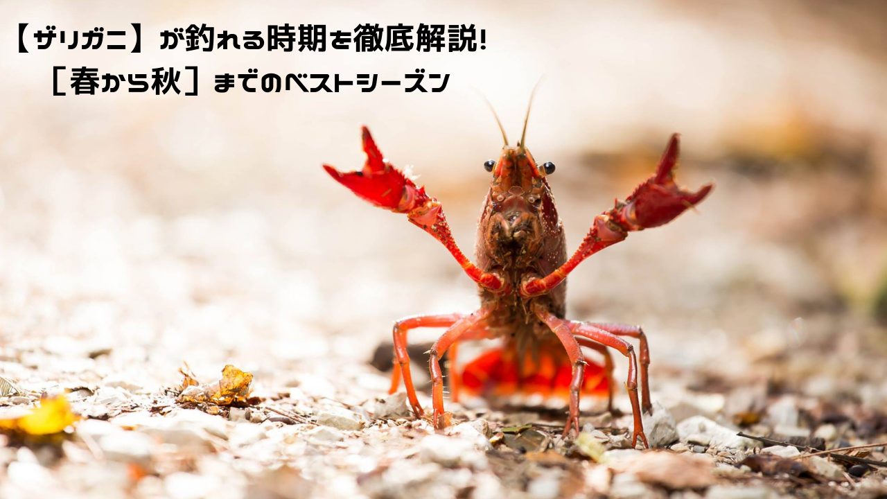 ザリガニ様 8点。