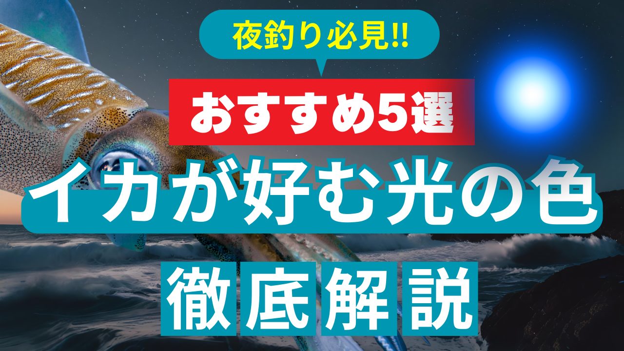 夜のイカ釣りに最適な集魚灯の選び方とおすすめ5選｜釣りGOOD【超特化