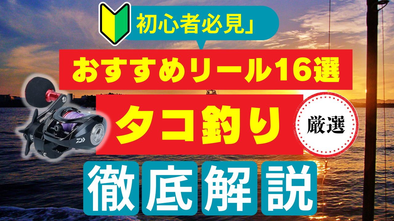 陸・船兼用タコ釣りリールの選び方＆おすすめ16選【1万円未満から中級