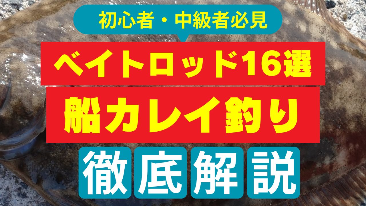 初心者・中級者必見】船カレイに最適なベイトロッドの選び方・おすすめ