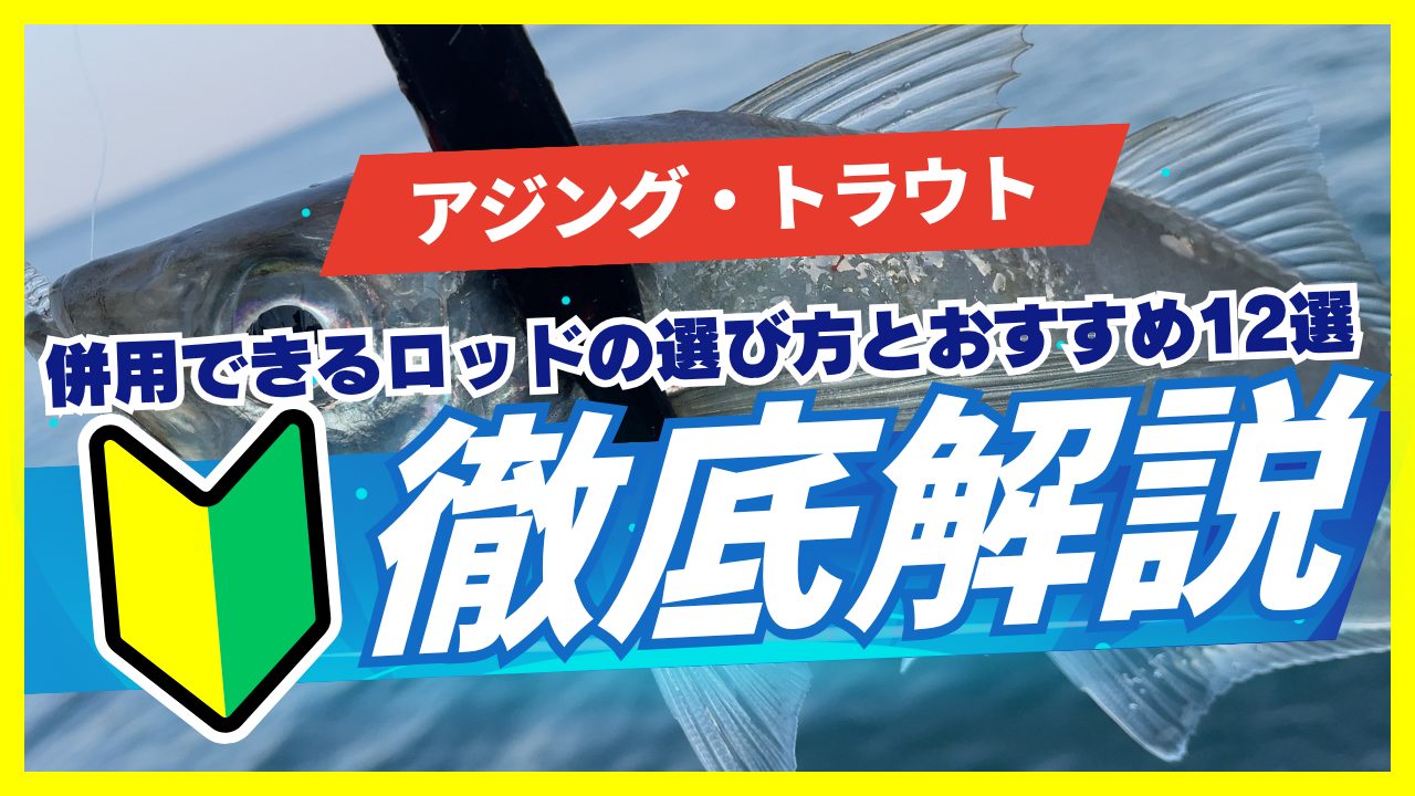 コスパ最強】アジングとトラウトが併用できるロッドの選び方とおすすめ