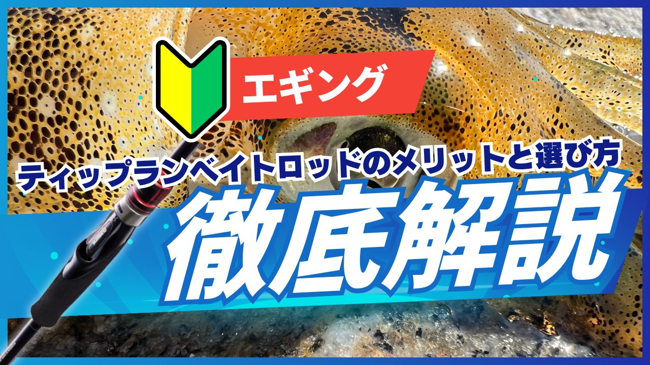 2026最新版】【初心者必見】『ティップランベイトロッド』のメリットと